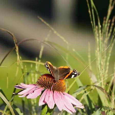 Benita Lejlighed Bad Dürrheim